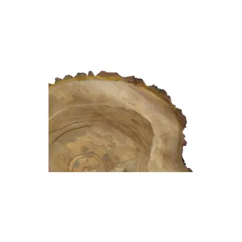 Plaster Orzecha Włoskiego 45x43x5cm