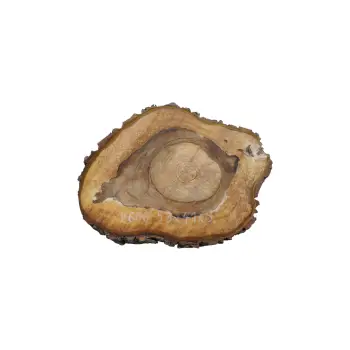 Plaster Orzecha Włoskiego 53x41x5cm