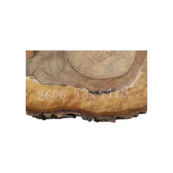 Plaster Orzecha Włoskiego 53x41x5cm