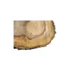Plaster Orzecha Włoskiego 66x35x9cm