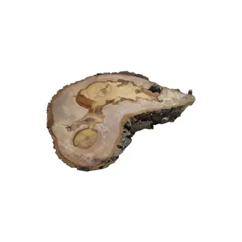 Plaster Orzecha Włoskiego 49x36x7,5cm