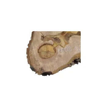 Plaster Orzecha Włoskiego 49x36x7,5cm