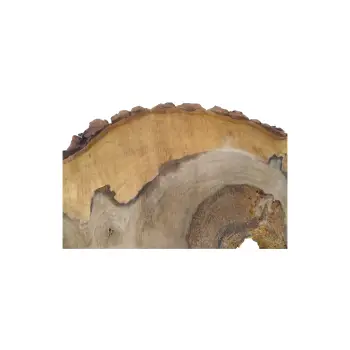 Plaster Orzecha Włoskiego 59x33x5cm