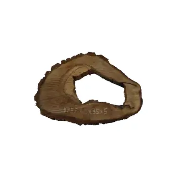 Plaster Orzecha Włoskiego 48x35x5cm