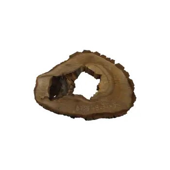 Plaster Orzecha Włoskiego 48x35x5cm