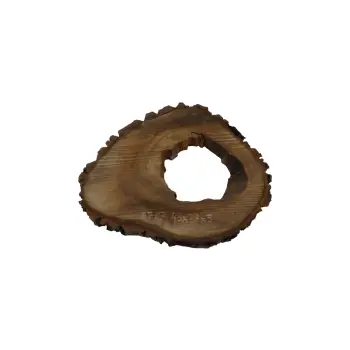 Plaster Orzecha Włoskiego 43x37x5cm