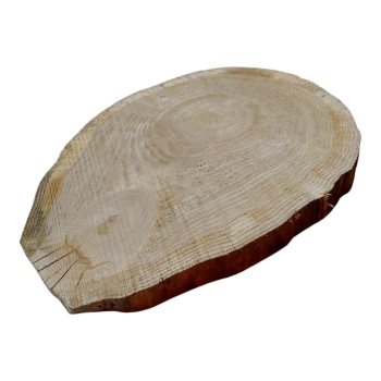 Plaster Dębowy 50x39x4cm Dąb