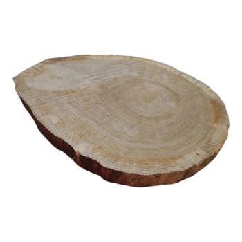 Plaster Dębowy 50x39x4cm Dąb