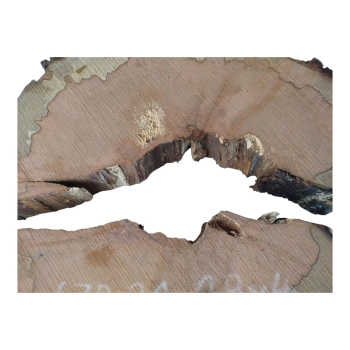 Plaster Gruszy 31x29x4cm