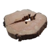 Plaster Gruszy 31x29x4cm