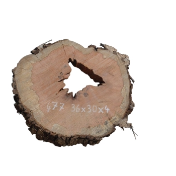 Plaster Gruszy 36x30x4cm