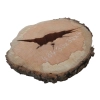 Plaster Gruszy 30x30x4cm