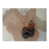 Plaster Gruszy 36x32x4cm