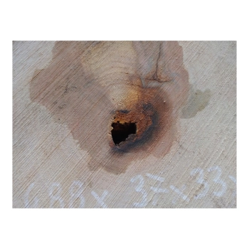 Plaster Gruszy 37x33x4cm