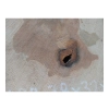 Plaster Gruszy 38x32x4cm