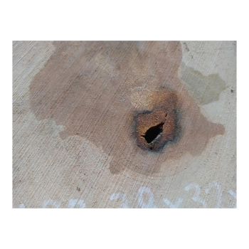 Plaster Gruszy 38x32x4cm