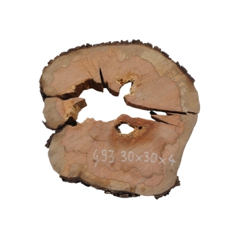 Plaster Gruszy 30x30x4cm