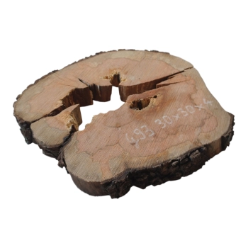 Plaster Gruszy 30x30x4cm
