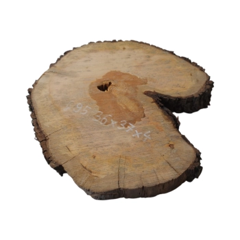 Plaster Gruszy 36x37x4cm