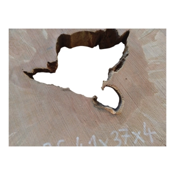 Plaster Gruszy 41x37x4cm