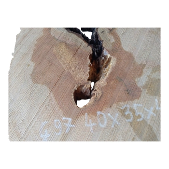 Plaster Gruszy 40x35x4cm
