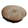 Plaster Kasztanowca 48x46x5cm