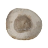Plaster Orzecha Włoskiego 44x39x4,5cm