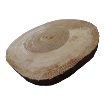 Plaster Orzecha Włoskiego 45x40x5cm