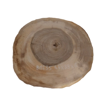 Plaster Orzecha Włoskiego 44x39x6cm