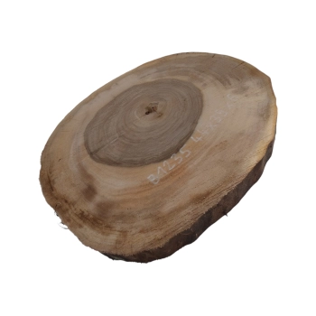 Plaster Orzecha Włoskiego 44x39x6cm
