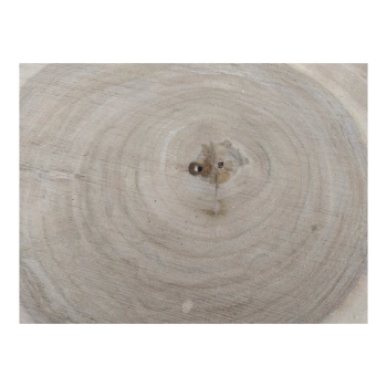 Plaster Orzecha Włoskiego 44x39x6cm