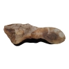 Plaster Orzecha Włoskiego 91x33x7,5cm