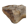 Plaster Orzecha Włoskiego 91x33x7,5cm