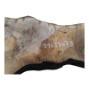Plaster Orzecha Włoskiego 91x33x7,5cm