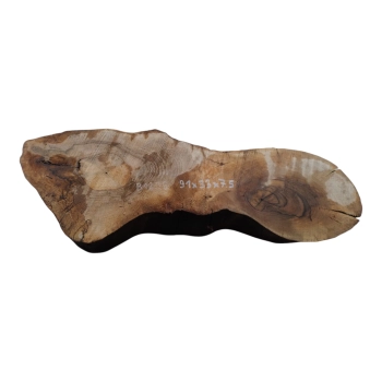 Plaster Orzecha Włoskiego 91x33x7,5cm