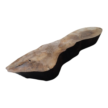 Plaster Orzecha Włoskiego 91x33x7,5cm