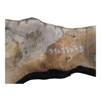 Plaster Orzecha Włoskiego 91x33x7,5cm