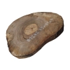 Plaster Orzecha Włoskiego 35x31x4cm