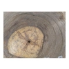 Plaster Orzecha Włoskiego 35x31x4cm