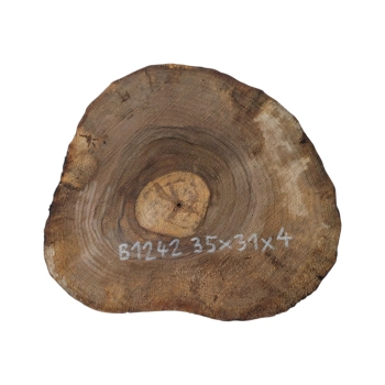 Plaster Orzecha Włoskiego 35x31x4cm