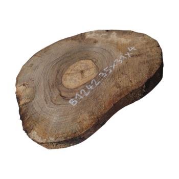 Plaster Orzecha Włoskiego 35x31x4cm
