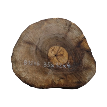 Plaster Orzecha Włoskiego 35x32x4cm