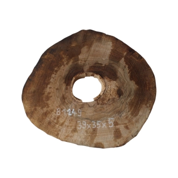 Plaster Orzecha Włoskiego 39x35x5cm
