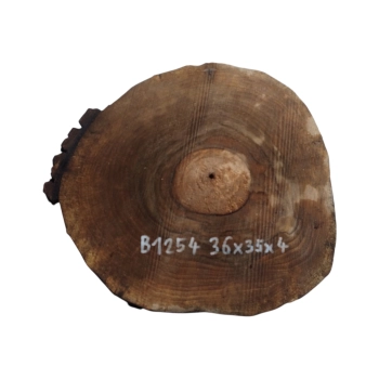 Plaster Orzecha Włoskiego 36x35x4cm