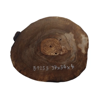 Plaster Orzecha Włoskiego 37x34x4cm