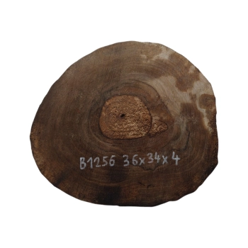 Plaster Orzecha Włoskiego 36x34x4cm