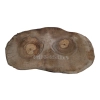 Plaster Orzecha Włoskiego 52x28x4cm