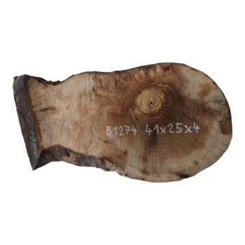 Plaster Orzecha Włoskiego 41x25x4cm