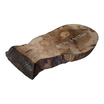 Plaster Orzecha Włoskiego 41x25x4cm