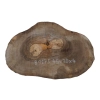 Plaster Orzecha Włoskiego 45x30x4cm